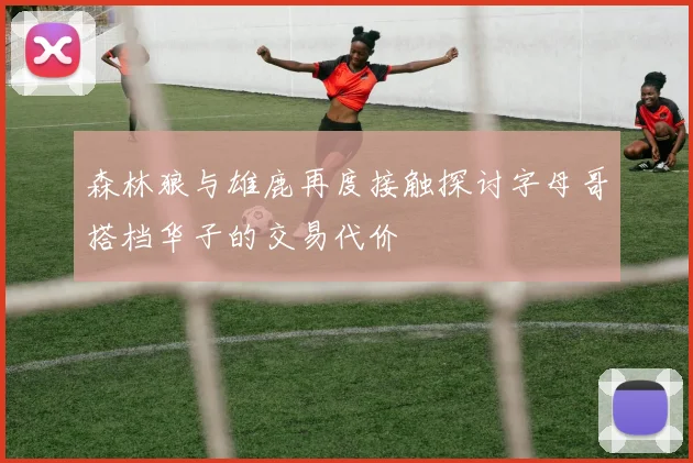 森林狼与雄鹿再度接触探讨字母哥搭档华子的交易代价