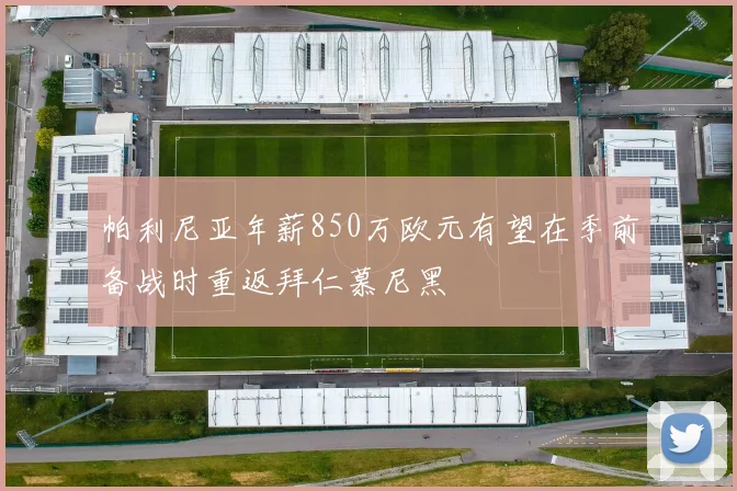 帕利尼亚年薪850万欧元有望在季前备战时重返拜仁慕尼黑
